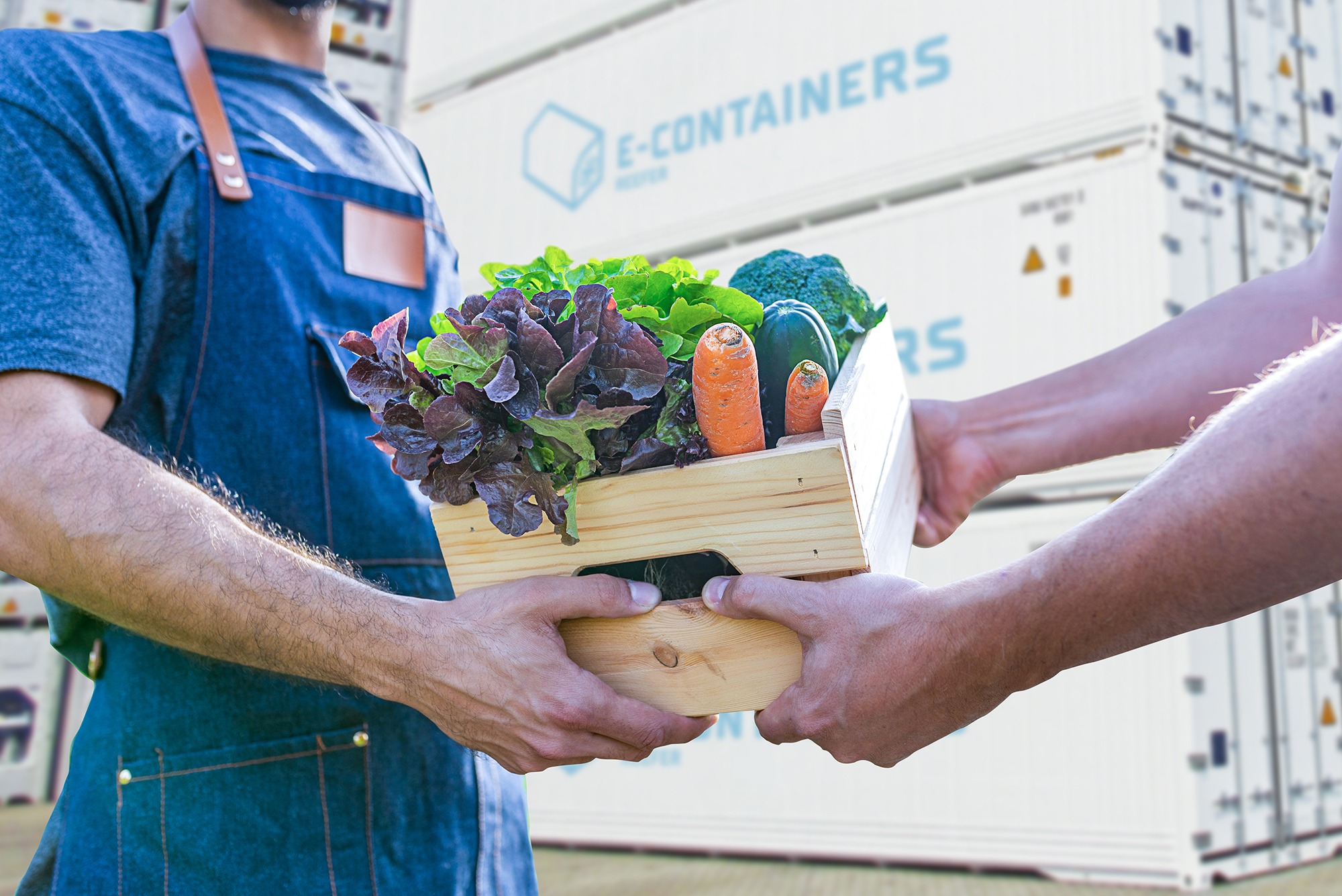 Conservar Frutas Verduras Y Hortalizas En Contenedores Reefer