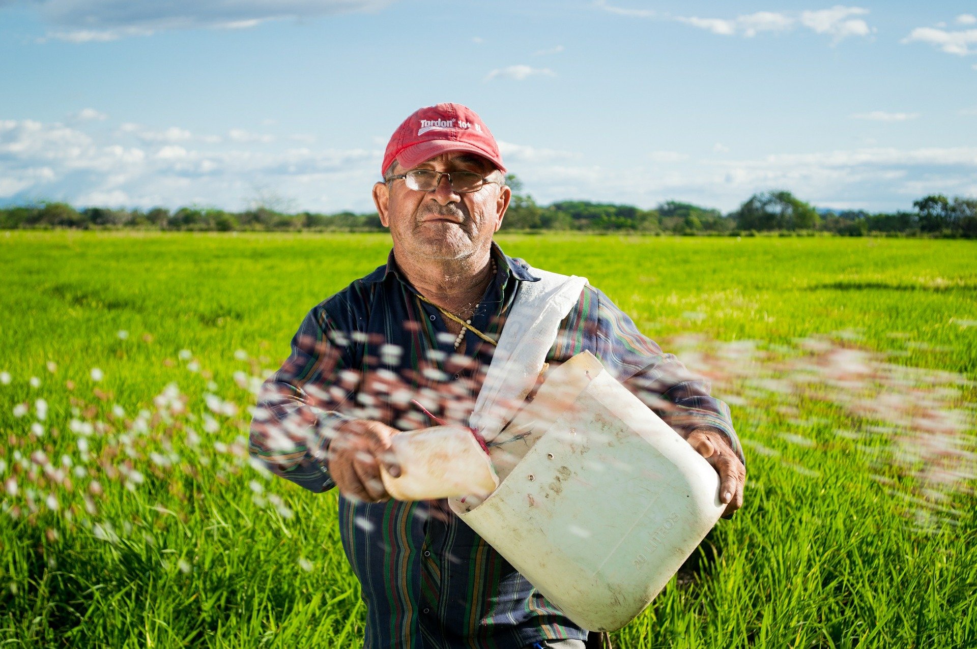 ‘Agricultura por Contrato’, entre las acciones de MinAgricultura para reactivar la economía de Valle del Cauca