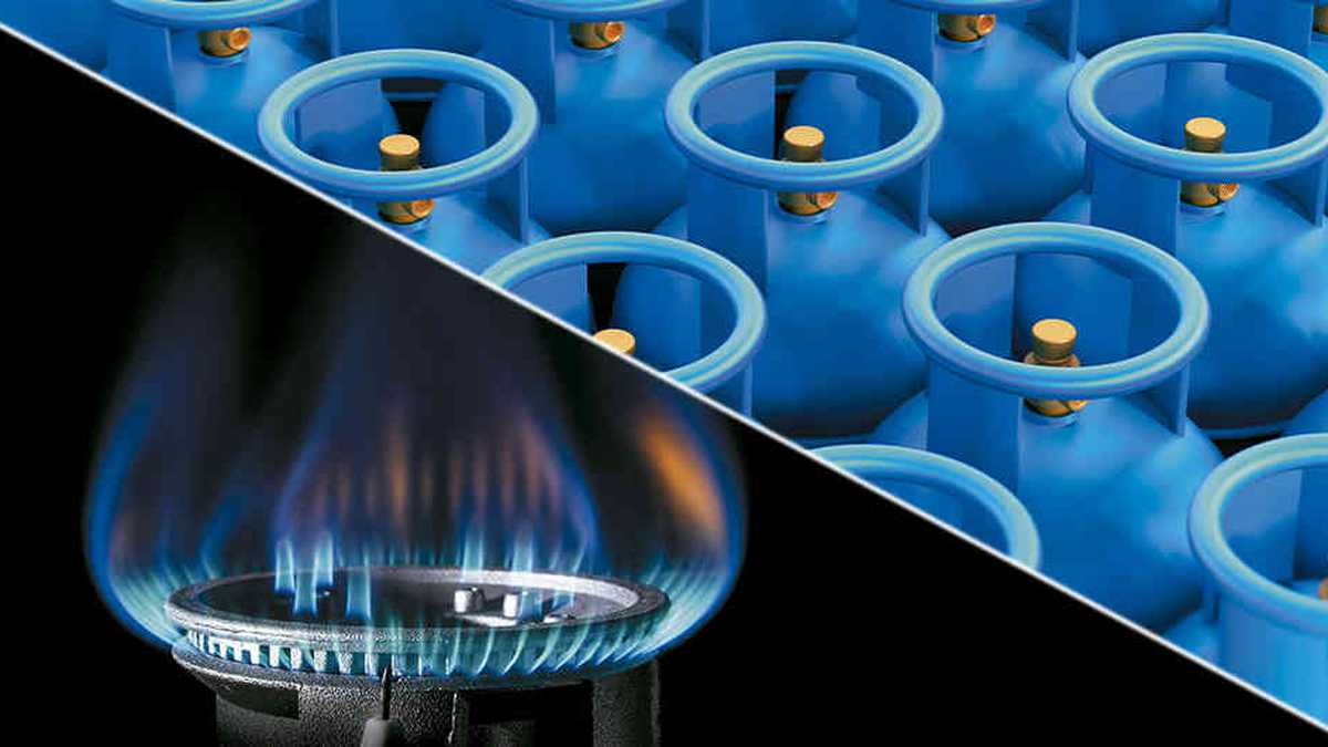 Gas propano o natural domiciliario
