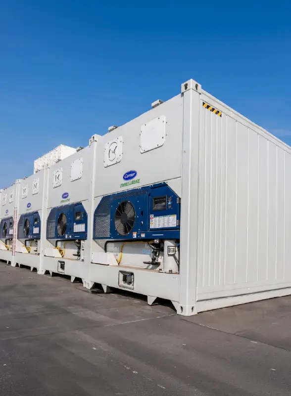 Reefer container interior with stainless steel lining
