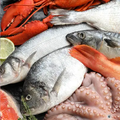Fish & Seafood